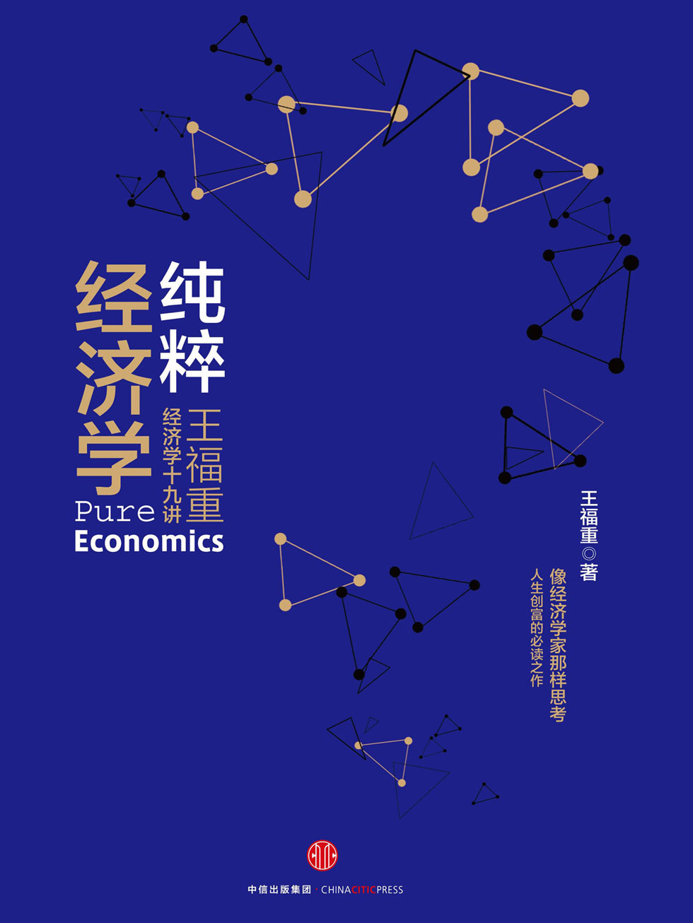 纯粹经济学：王福重经济学十九讲