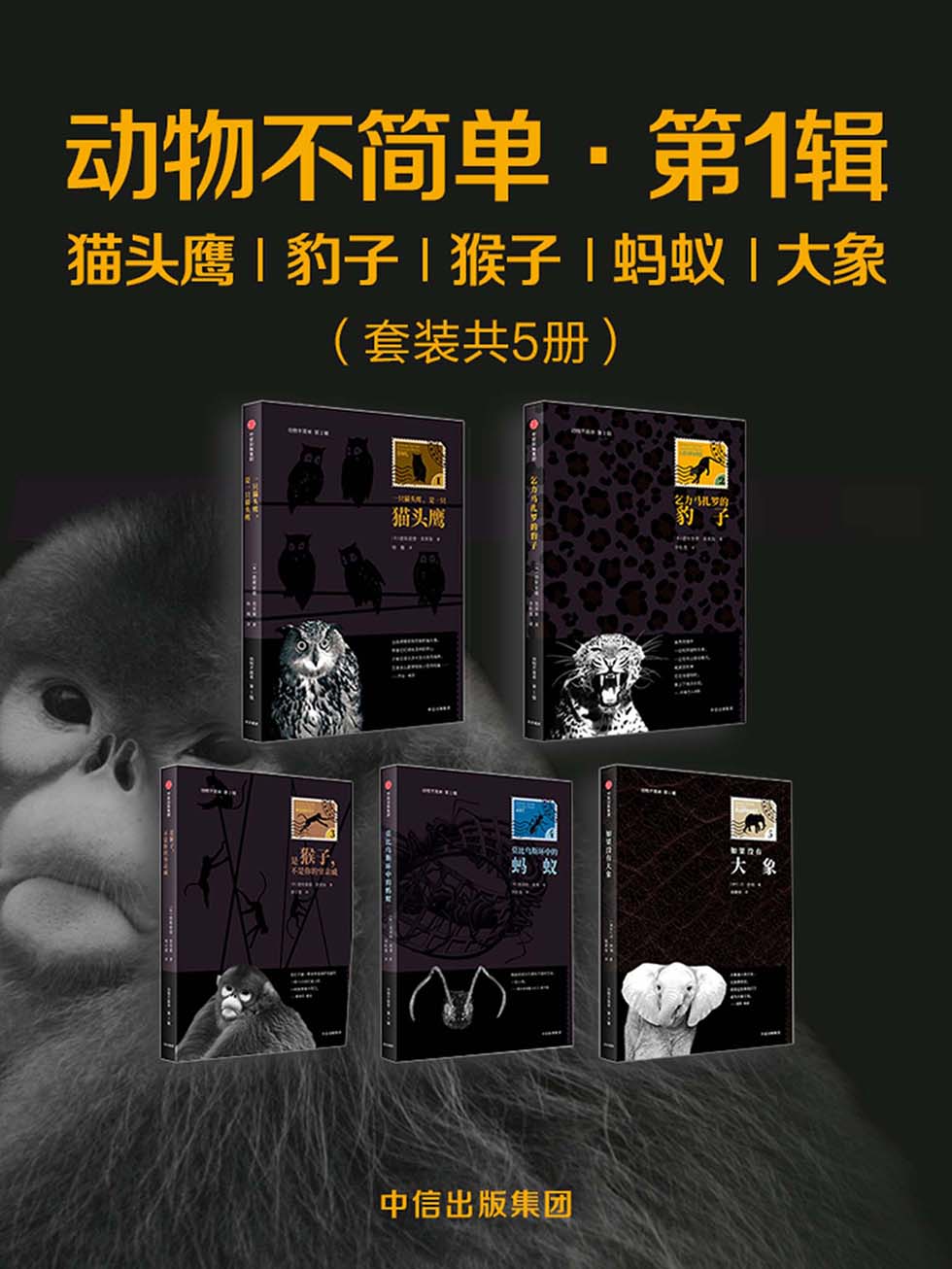 动物不简单·第1辑：猫头鹰、豹子、猴子、蚂蚁、大象