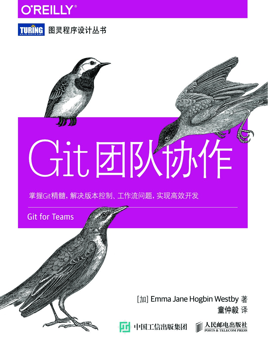 [图灵程序设计丛书].Git团队协作