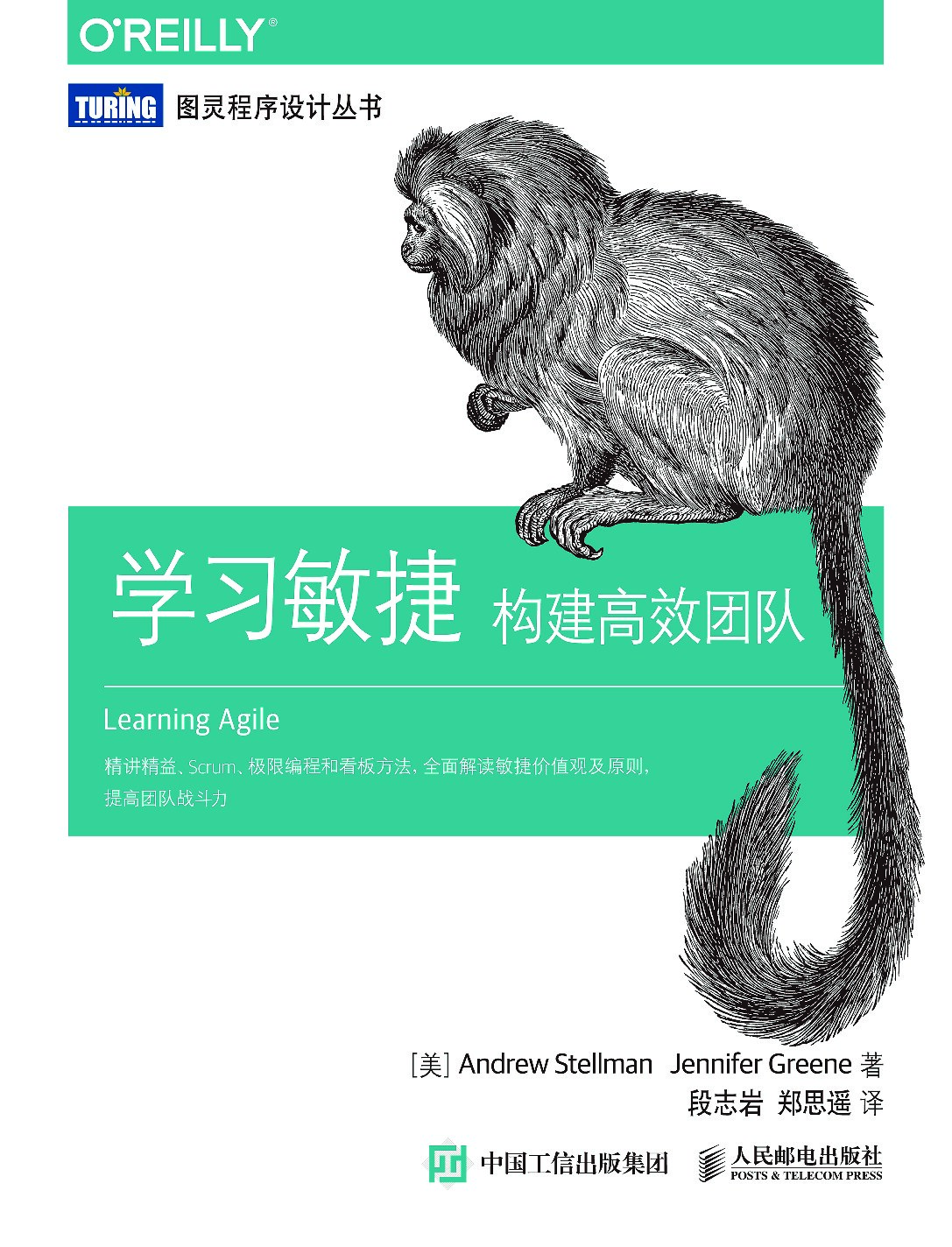 [图灵程序设计丛书].学习敏捷：构建高效团队
